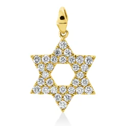 Anhänger aus 585 Gold Gelbgold 30 Brillanten 0,33ct W-SI/PI 18,5x11,5mm mit Öse