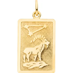 Anhänger Sternzeichen Steinbock 333 Gold Gelbgold matt rechteckig 20,8x12,1mm