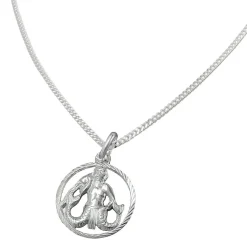 Anhänger Sternzeichen Wassermann mit 1,4mm Flachpanzer-Kette aus 925 Silber 45cm