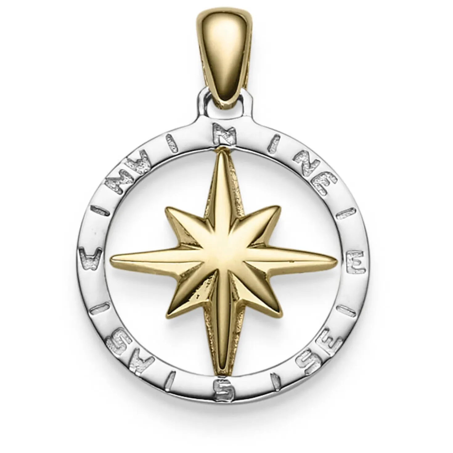 Anhänger Windrose Kompass 24x18mm aus 585 Gold Gelbgold Weißgold glänzend