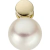 Anhänger 8,8x13,7mm aus 585 Gold Gelbgold mit Süßwasser Perle weiß Damen