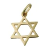 Anhänger 21x18mm David Stern aus echtem 375 Gold Gelbgold glatt Unisex