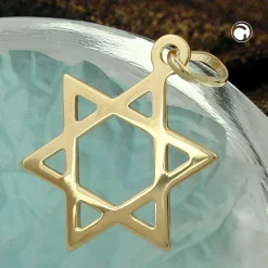 Anhänger 21x18mm David Stern aus echtem 375 Gold Gelbgold glatt Unisex