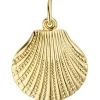 Anhänger 15,5x17,3mm Halsschmuck Muschel mit Struktur aus 333 Gold Gelbgold
