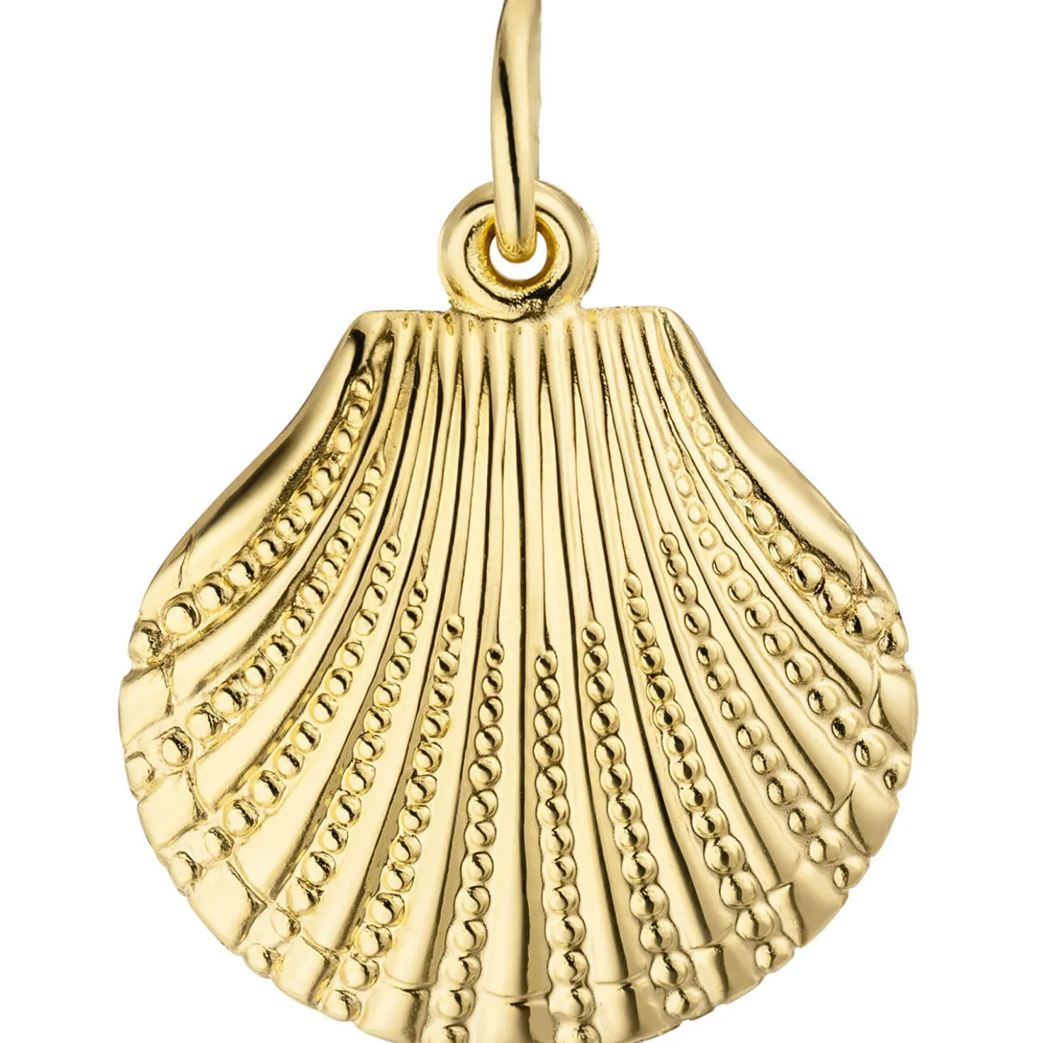 Anhänger 15,5x17,3mm Halsschmuck Muschel mit Struktur aus 333 Gold Gelbgold