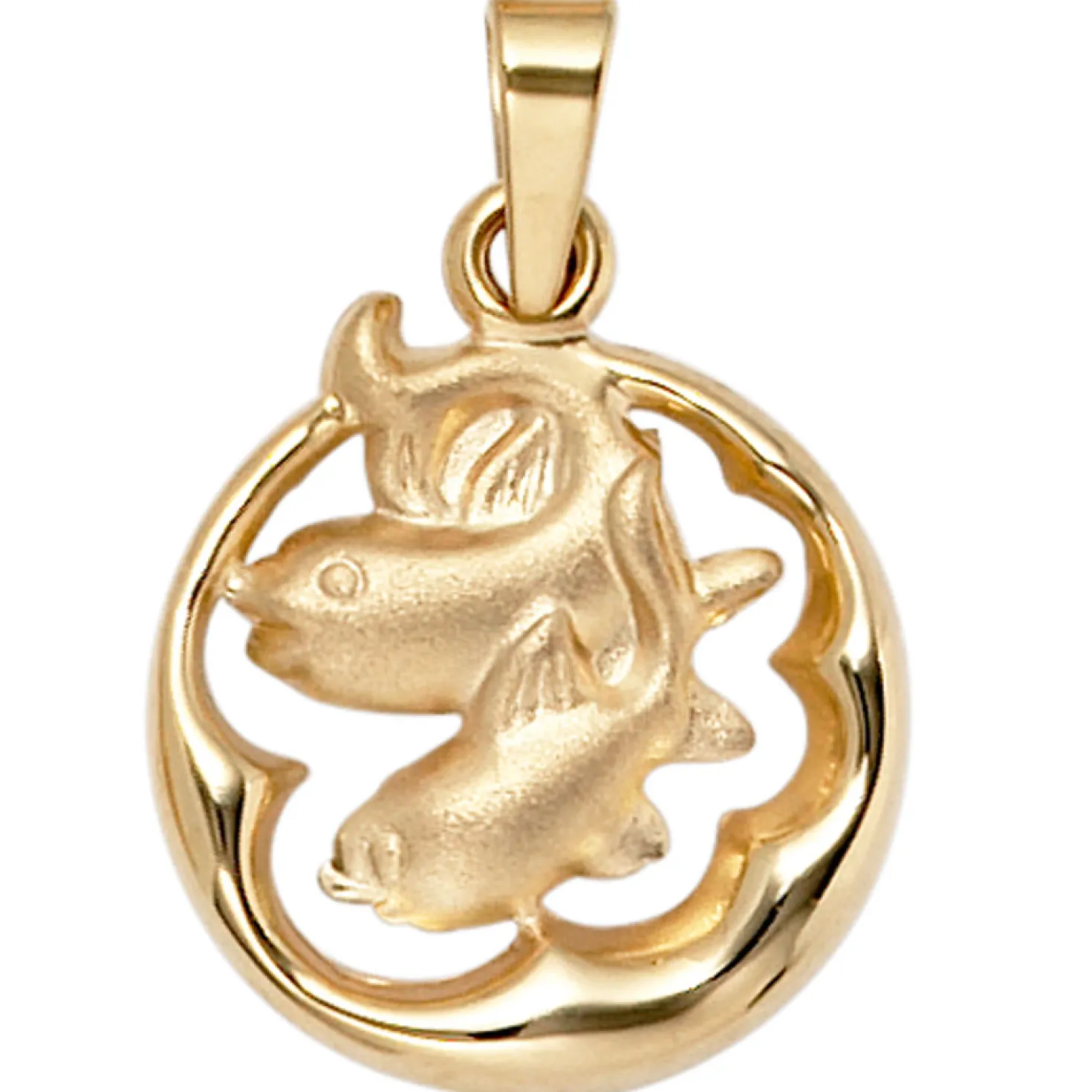 Anhänger 15x18mm Sternzeichen Fische 375 Gold Gelbgold teilmattiert Horoskop