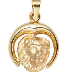 Anhänger 15x18,2mm Sternzeichen Löwe 375 Gold Gelbgold teilmattiert Horoskop
