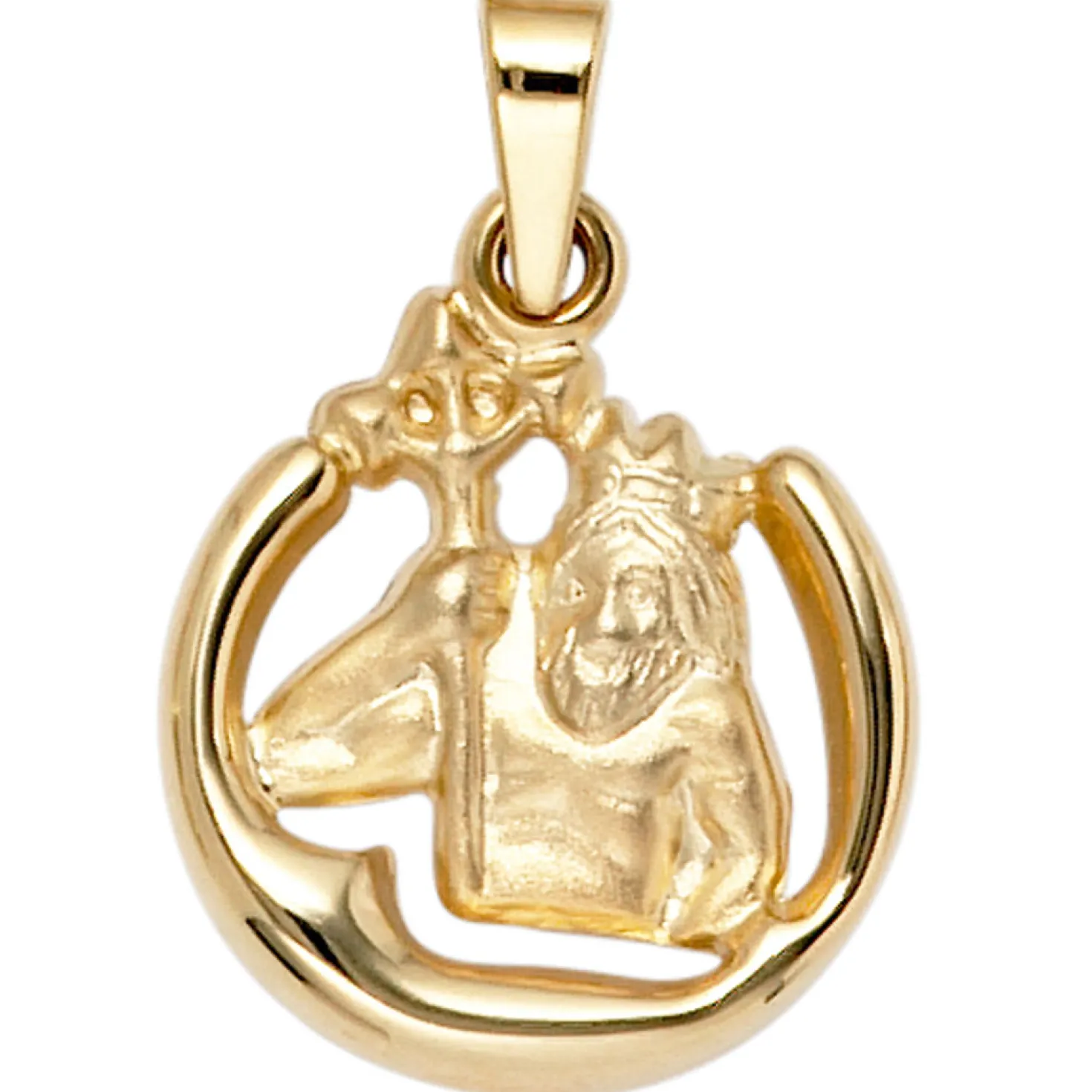 Anhänger 14,9x18mm Sternzeichen Wassermann 375 Gold Gelbgold teilmatt Horoskop