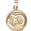 Anhänger 14,9x18,1mm Sternzeichen Widder 375 Gold Gelbgold teilmattiert Horoskop