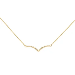 Collier Halskette Halsschmuck Rundankerkette mit Anhänger 585 Gelbgold 42-45cm