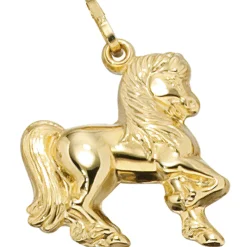 Goldanhänger Schmuck Anhänger 17,4x18,4mm Pferd aus 333 Echt Gold Gelbgold