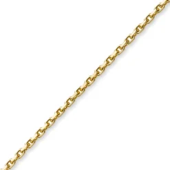 2,5mm Armband Armkette Ankerkette aus 585 Gold Gelbgold, 21cm, Unisex