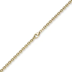 4,6mm Armband Armkette Rundankerkette 585 Gold Gelbgold, 21cm Unisex