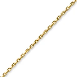 2,5mm Kette Collier Ankerkette aus 585 Gold Gelbgold, 55cm, Unisex