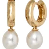 Ohrhänger Creolen 6,9x20,4mm Ohrringe Süßwasserperlen 585 Gelbgold creme weiß