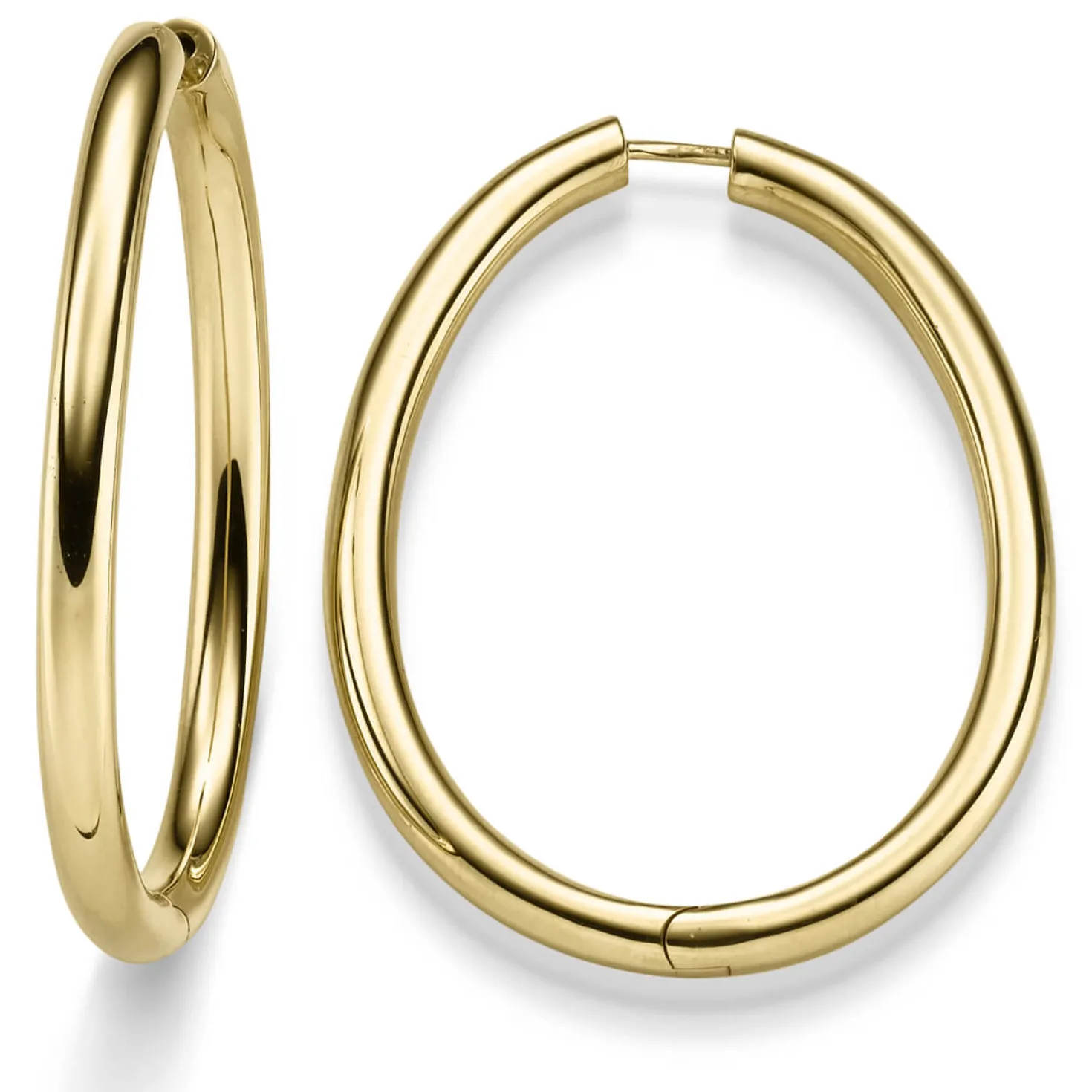 Paar Ohrringe Creolen 48x37mm aus 585 Gold Gelbgold glänzend Ohrschmuck