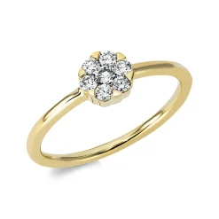 Ring Kreis 750 Gelbgold 6 Brillanten 0,17ct TW-SI 1 Brillant 0,08ct TW-SI Ø5,8mm