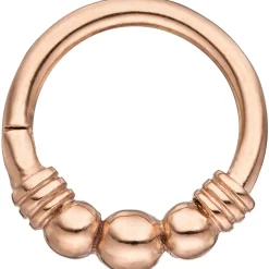 Segmentring aus Edelstahl Farbe rotgold Klick-System Scharnier Ringstärke 1,2mm