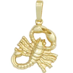 Sternzeichen Anhänger 12,8x16,9mm Skorpion 333 Gold Gelbgold Einhänger Damen