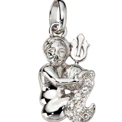 Sternzeichen Wassermann Anhänger 11,2x19,6mm mit Zirkonia 925 Silber rhodiniert
